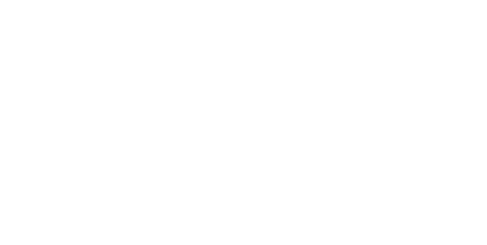 FleetWise Logo